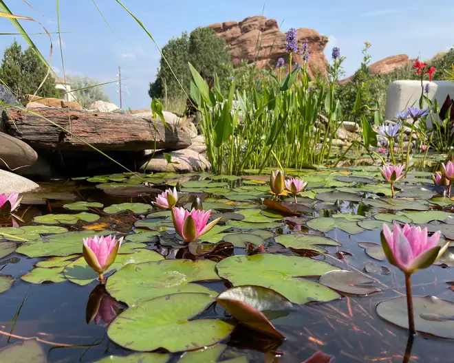 The Garden Conservancy Preservation Partner Garden