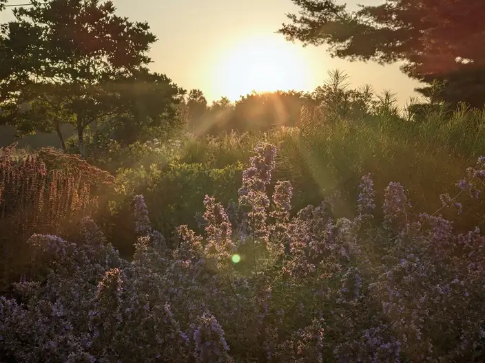 The Garden Conservancy Preservation Partner Garden