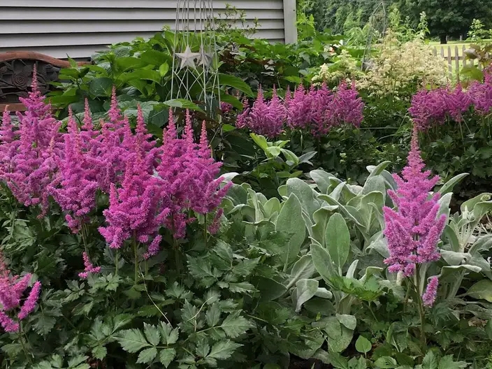 The Garden Conservancy Preservation Partner Garden