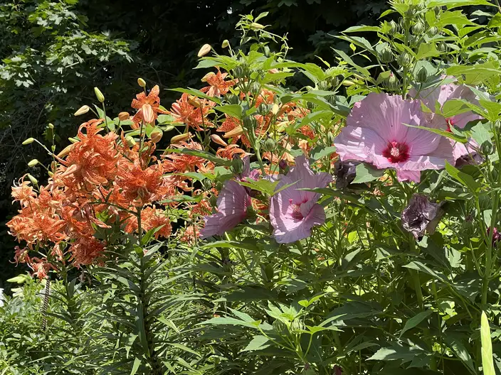 The Garden Conservancy Preservation Partner Garden