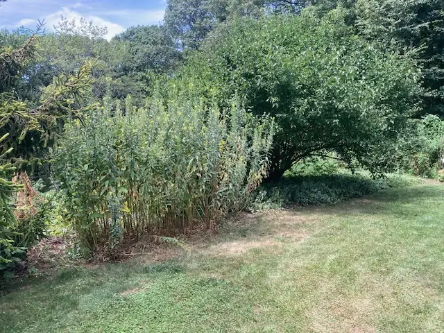 The Garden Conservancy Preservation Partner Garden