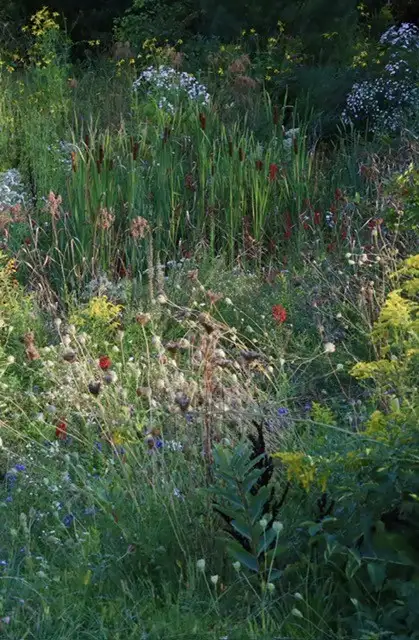 The Garden Conservancy Preservation Partner Garden