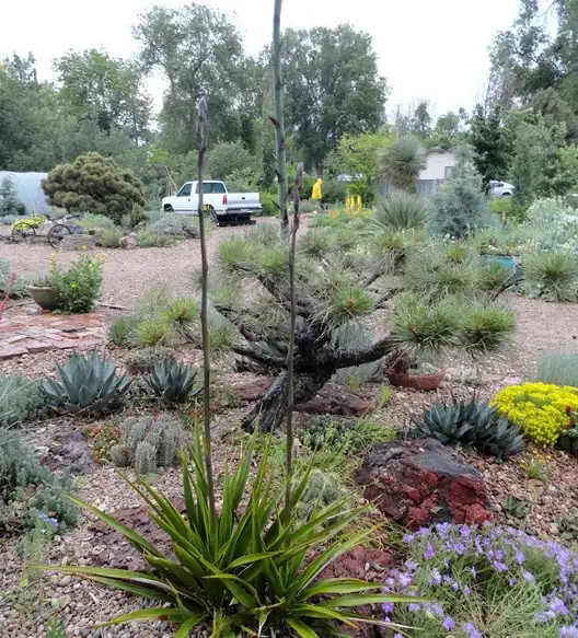 The Garden Conservancy Preservation Partner Garden