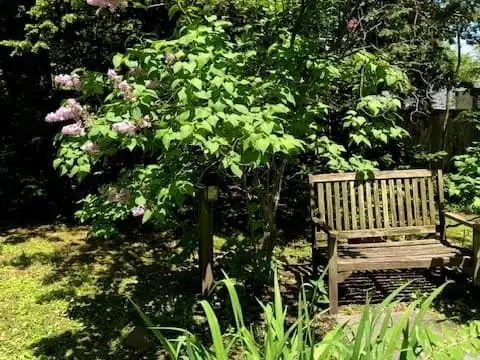 Sunday, June 1 Open Day at The Garden of Elaine H.