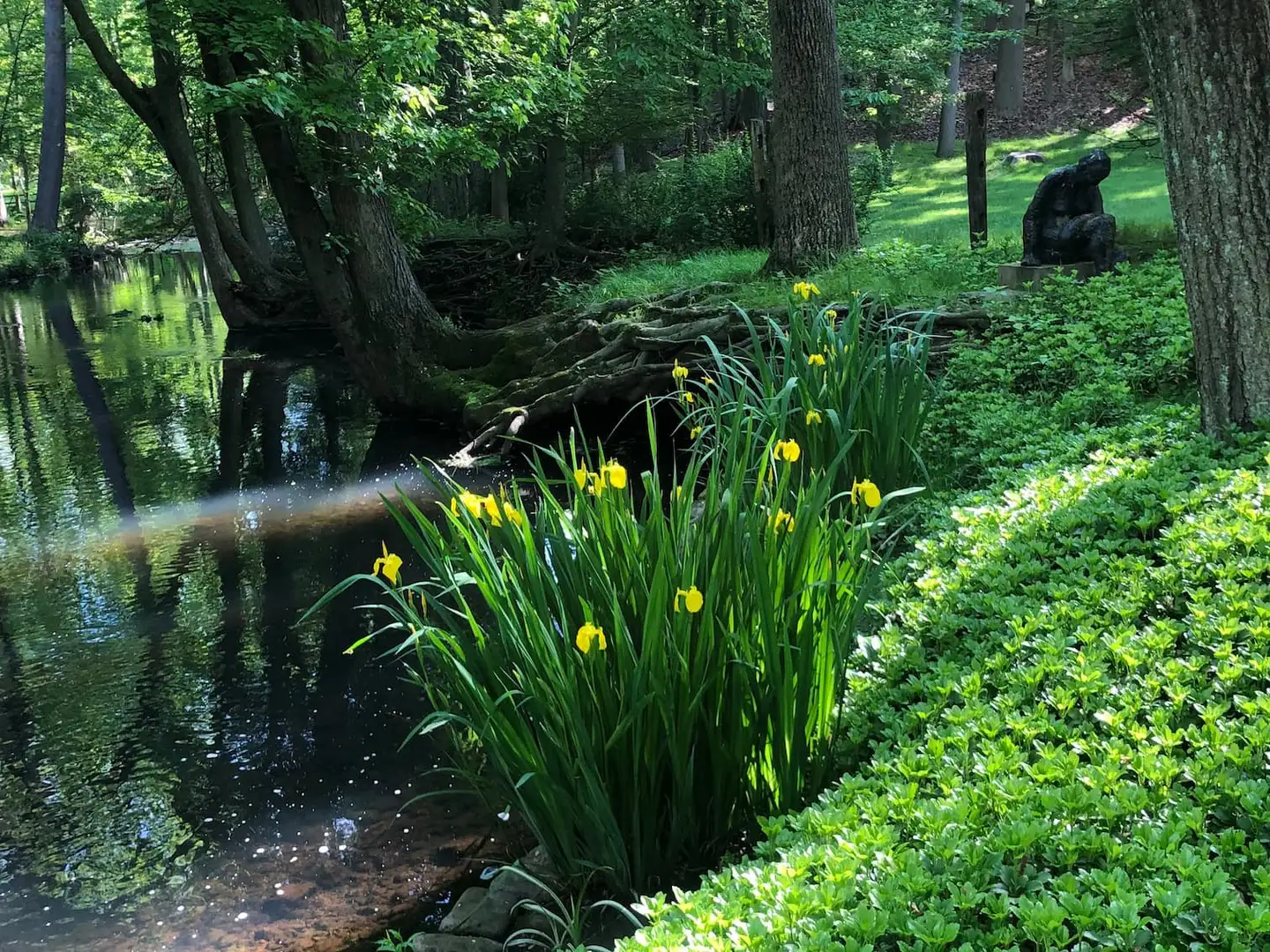 Saturday, May 17th Open Day at Mila & Barry's Garden