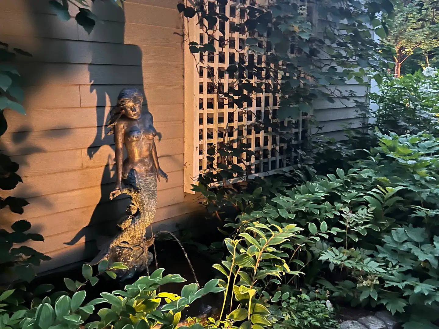 Sunday, June 1 Open Day at Rusnock Garden