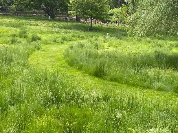 Sunday, June 1 Open Day at Prospect Gardens Westport