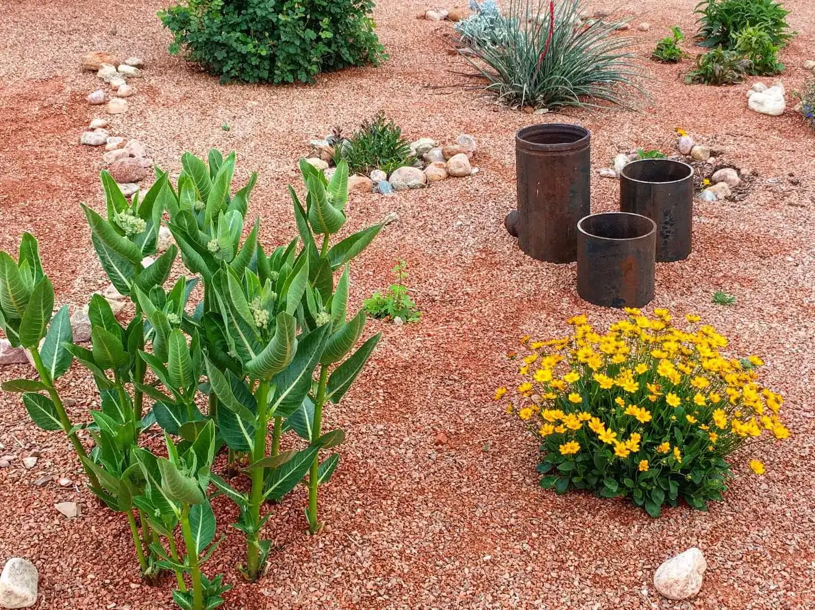 Saturday, June 21 Open Day at Sage Queen Garden