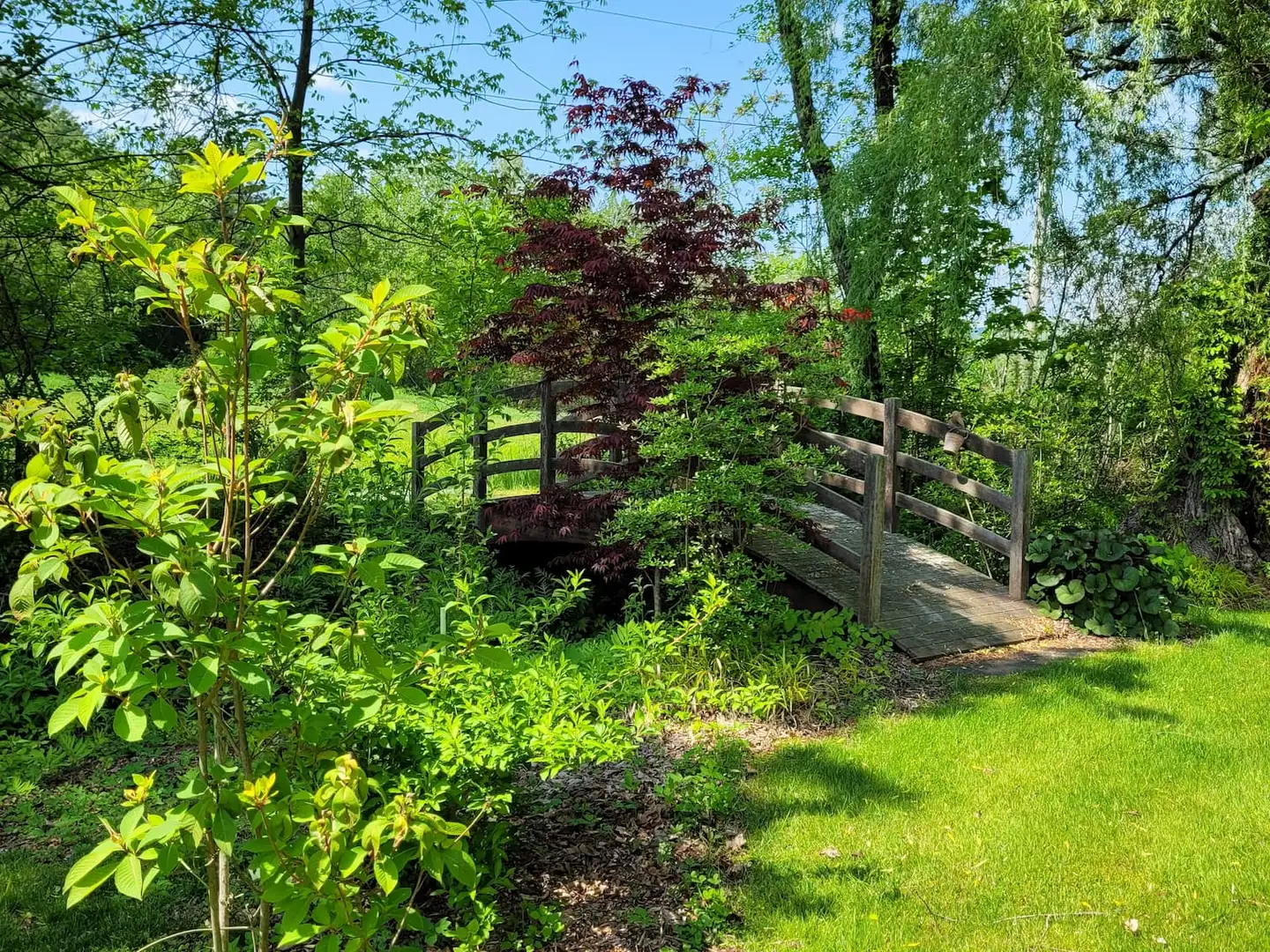 Saturday, June 7 Open Day at Phoenix House Gardens