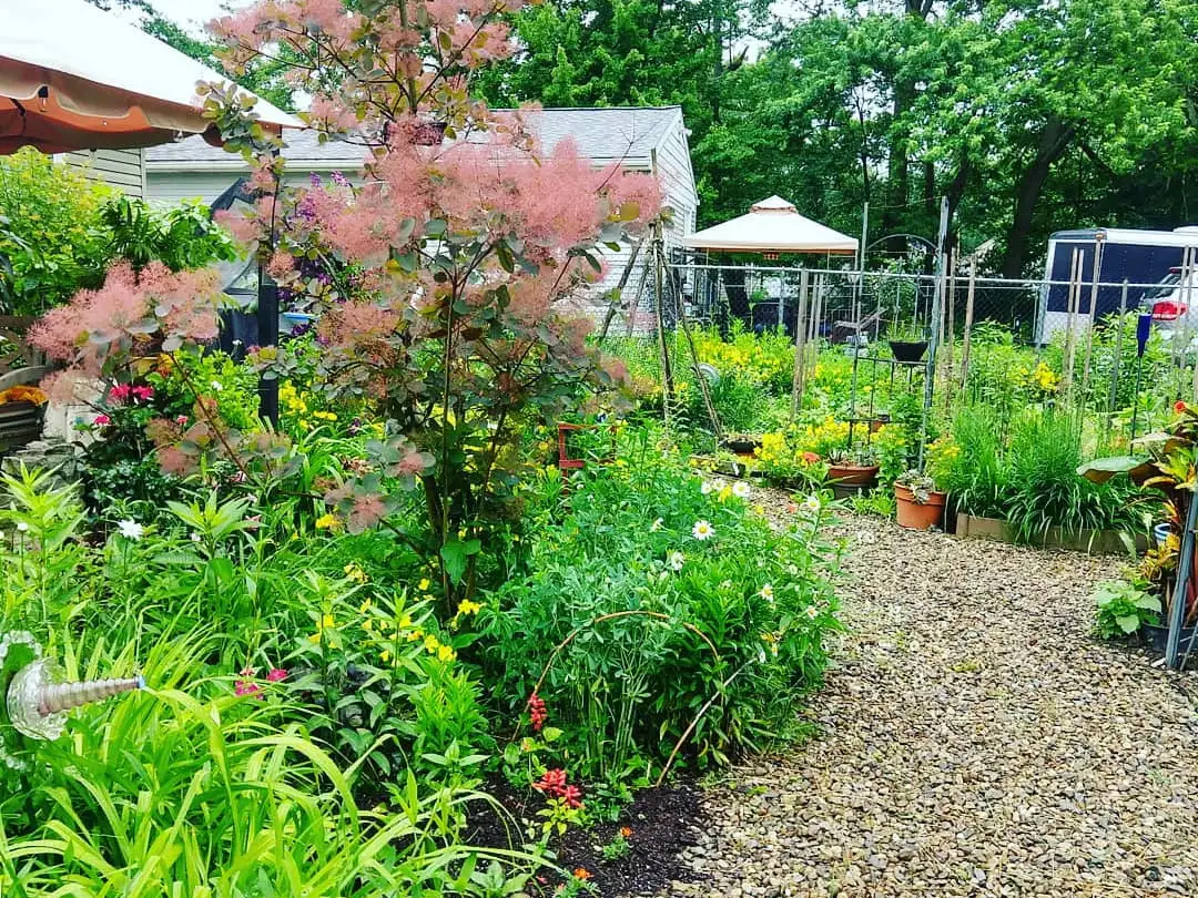 Saturday, June 7 Open Day at Becky's Wild and Wonderful Garden