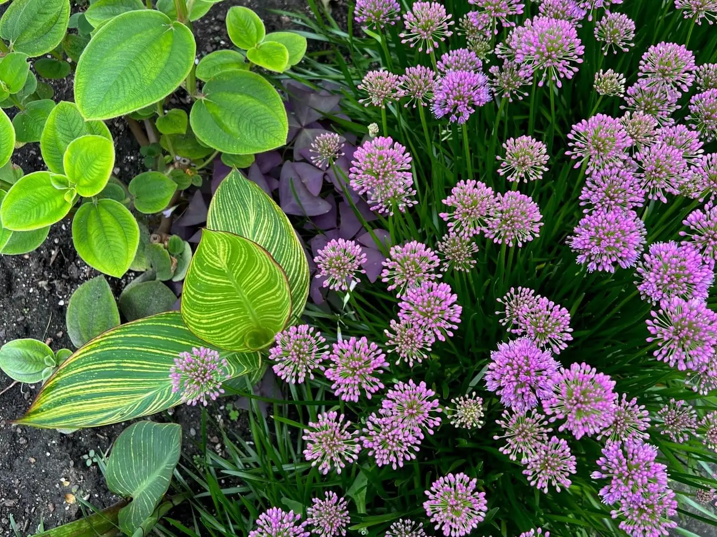 Saturday, May 10th Open Day at Garden of Katie Ridder & Peter Pennoyer