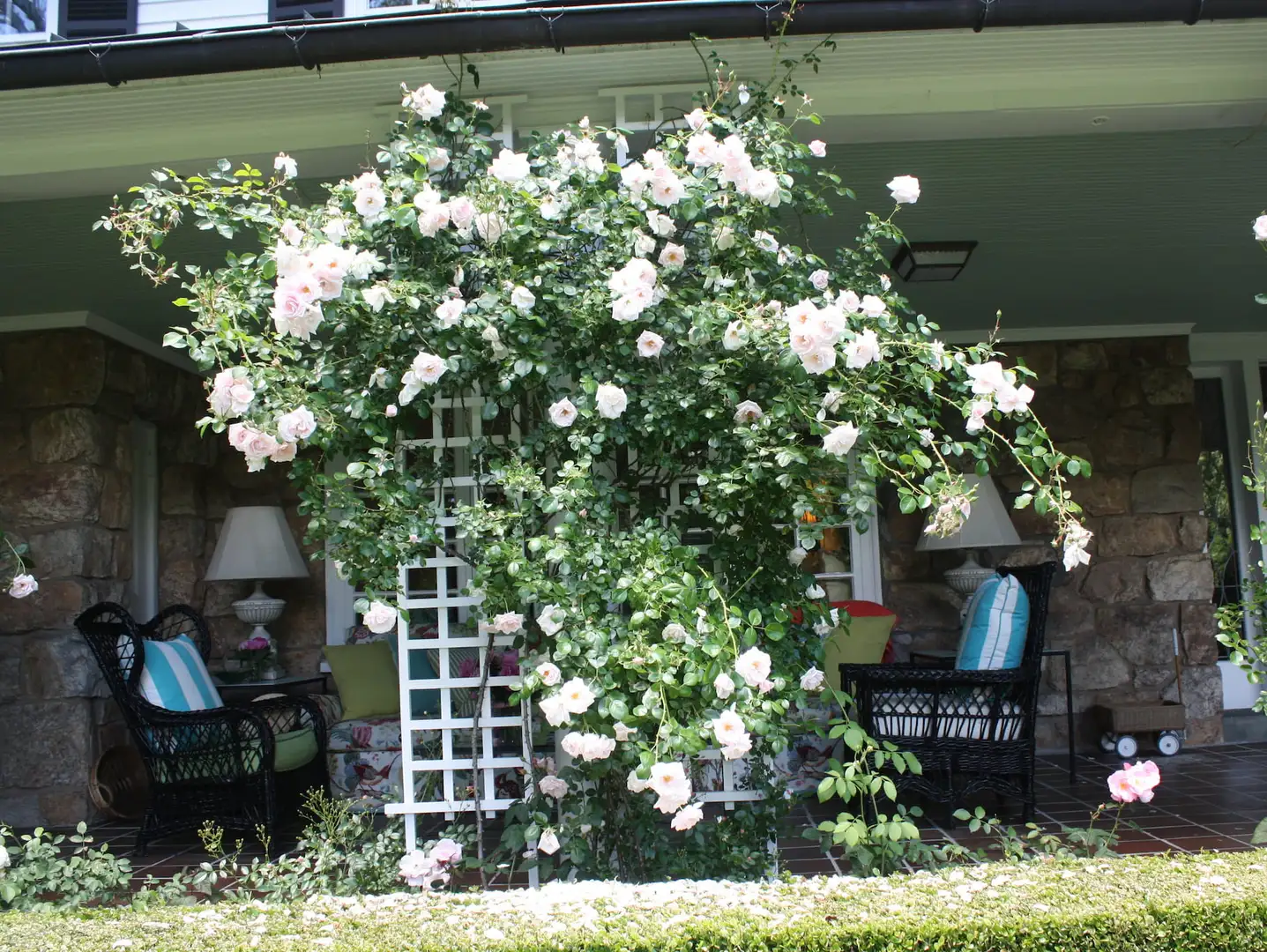 Saturday, June 7 Open Day at Chelmsford