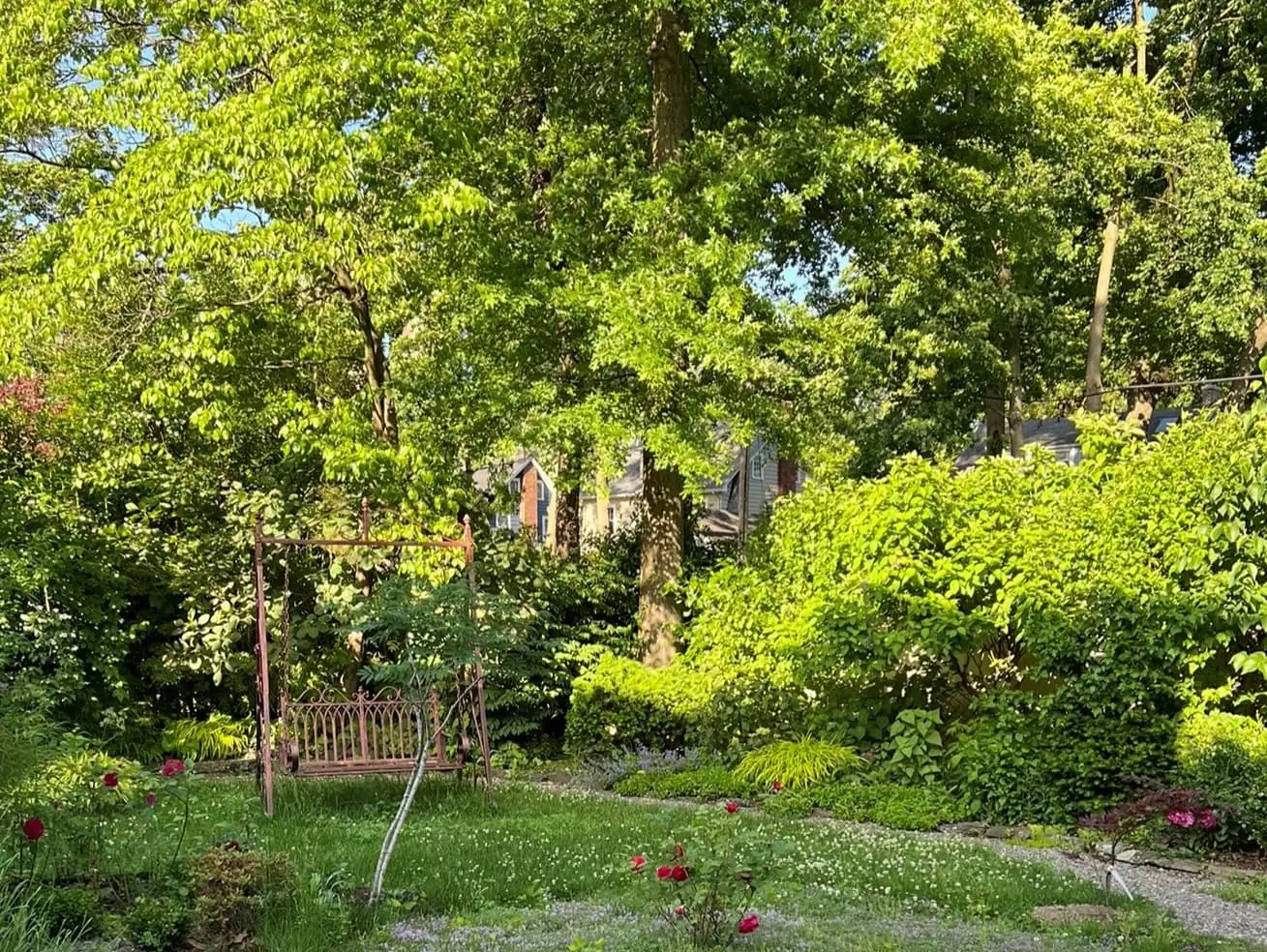 Sunday, June 1 Open Day at Anna's Pollinator Haven