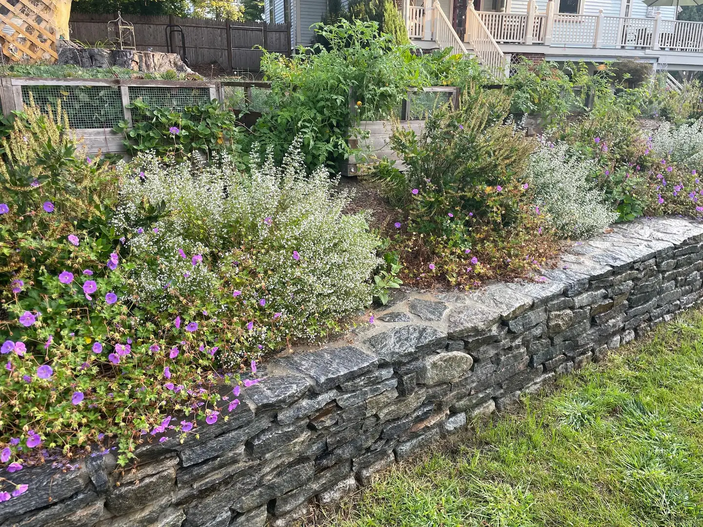 Sunday, June 1 Open Day at Shoma’s Garden in the City