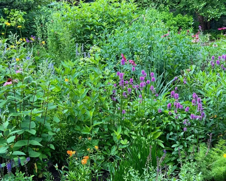 Saturday, July 12 Open Day at The Potting Shed Garden