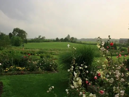 Saturday, June 21 Open Day at Coolidge-Goldman Gardens