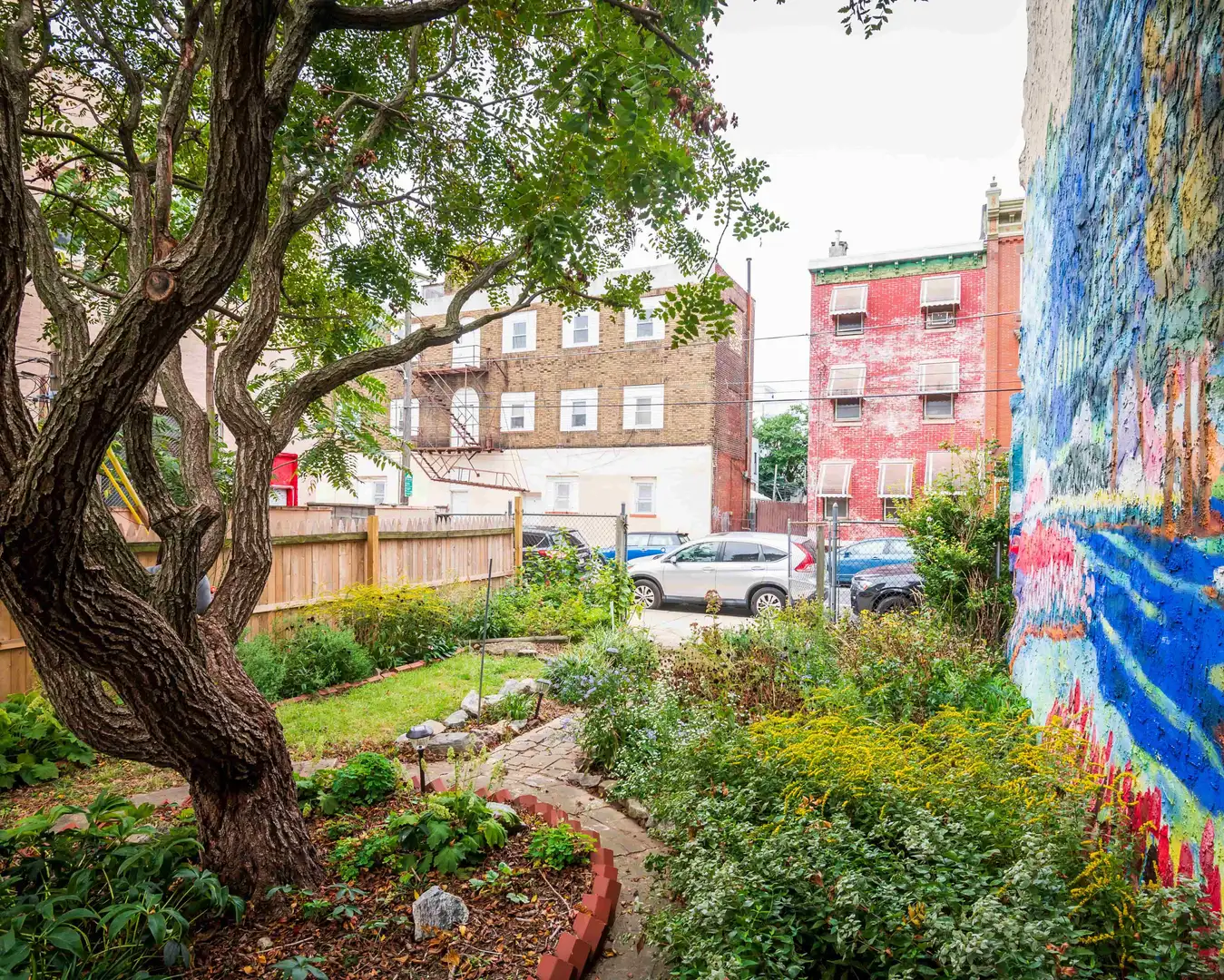 Sunday, June 22 Open Day at 15th Street Garden