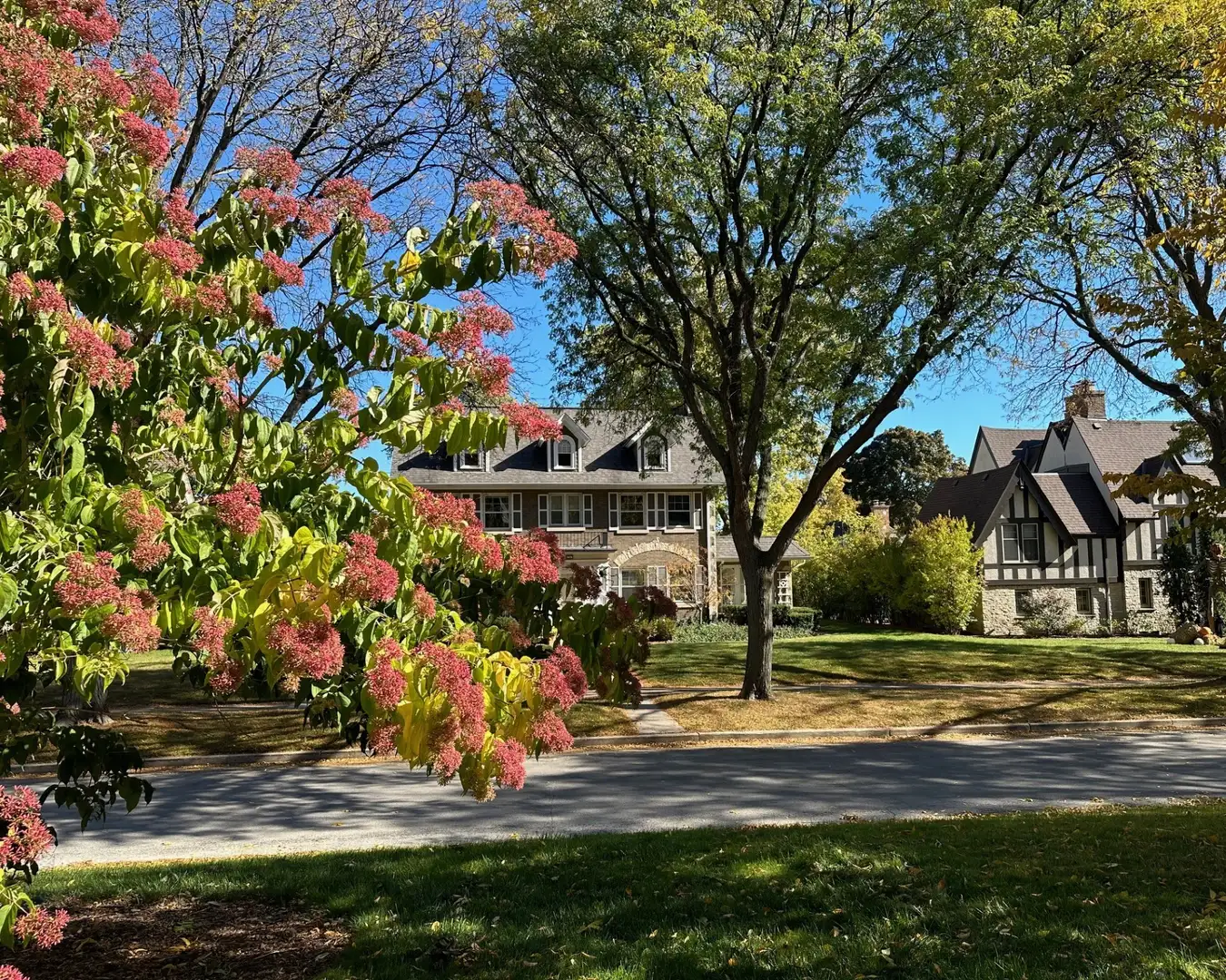 Digging Deeper: Washington Highlands Saturday 2pm