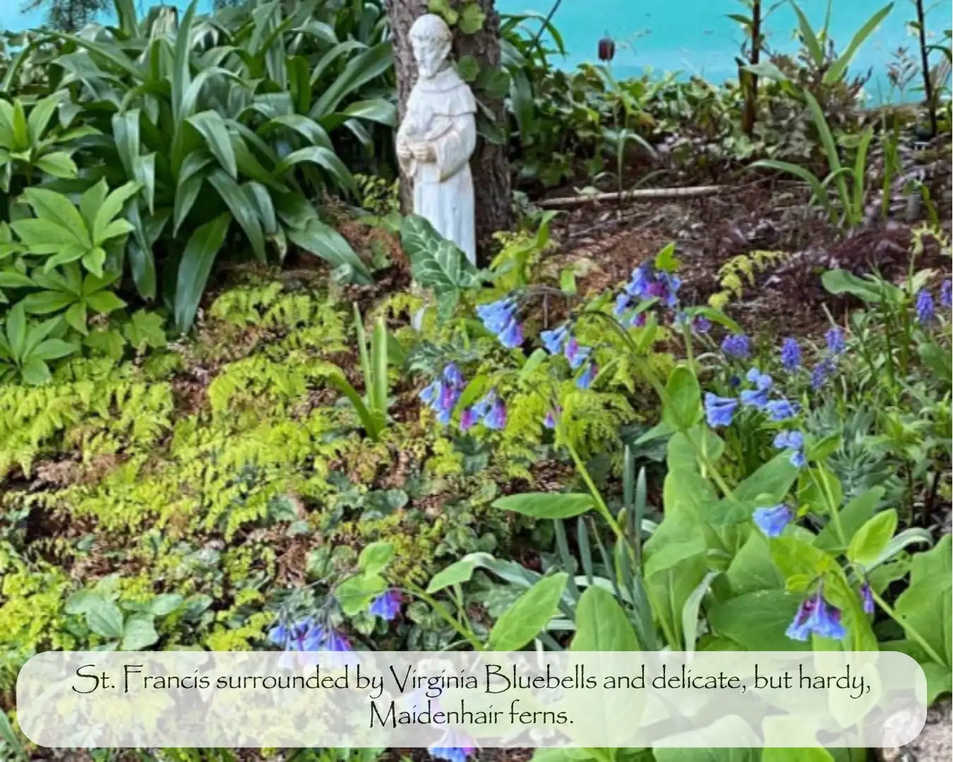 Saturday, April 19th Open Day at The Garden of Dianne B.