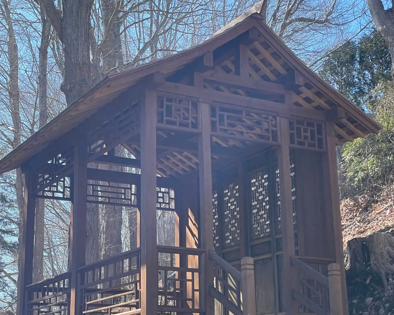 Saturday, June 21 Open Day at Garden of Robert Smith