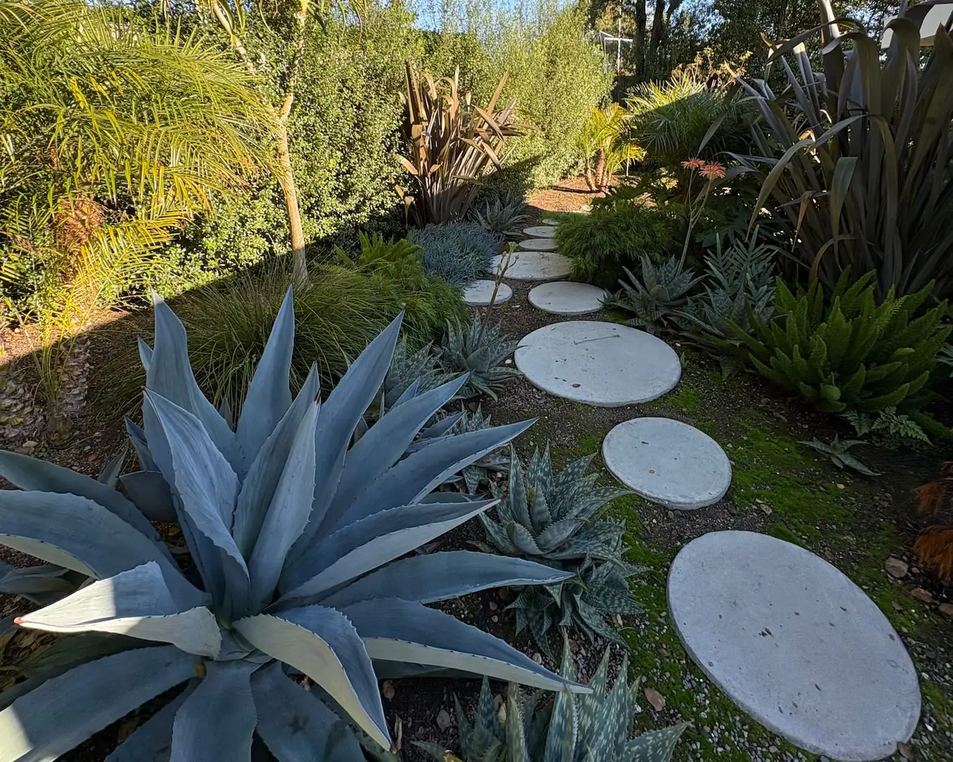 Saturday, April 24 Open Day at La Fleur Lochinvar Garden