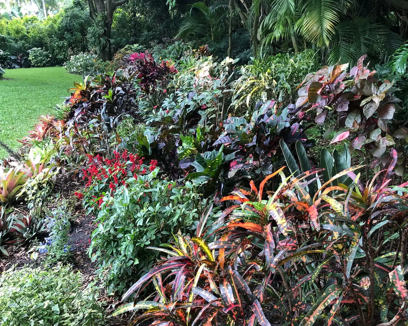 Saturday, March 7 Open Day at Hal + Sally Residence