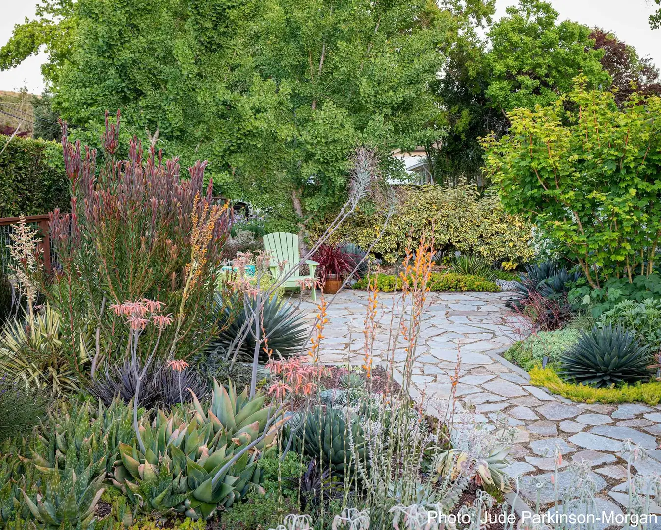 Saturday, April 18 Open Day at Hidden Away Gardens