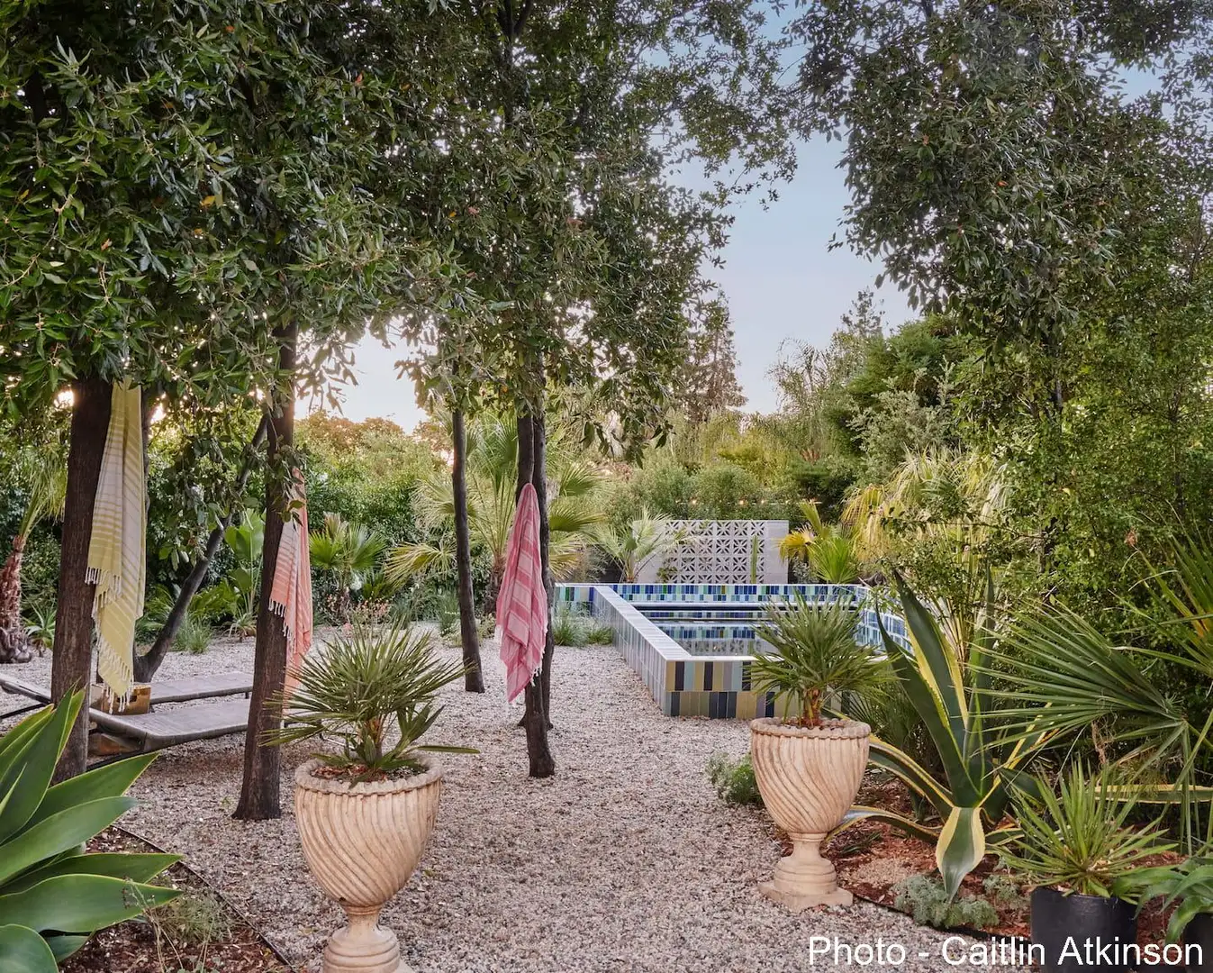 Saturday, April 18 Open Day at Las Palmas del Norte