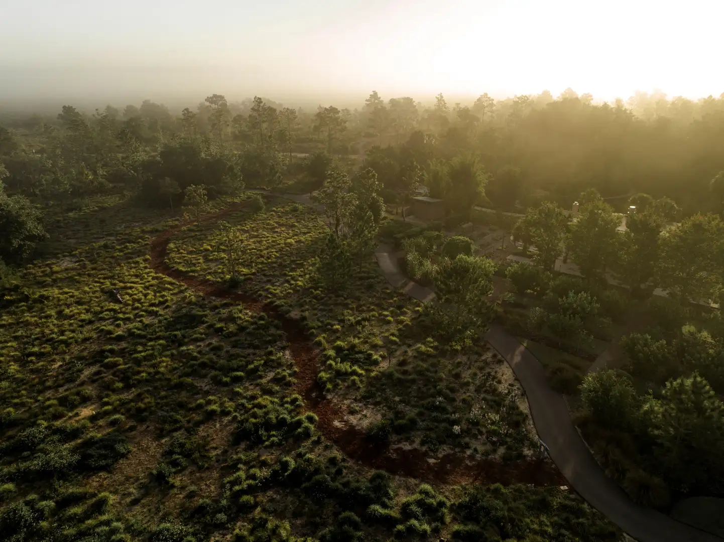 Whole Works of Art: Four Centuries in Three Gardens