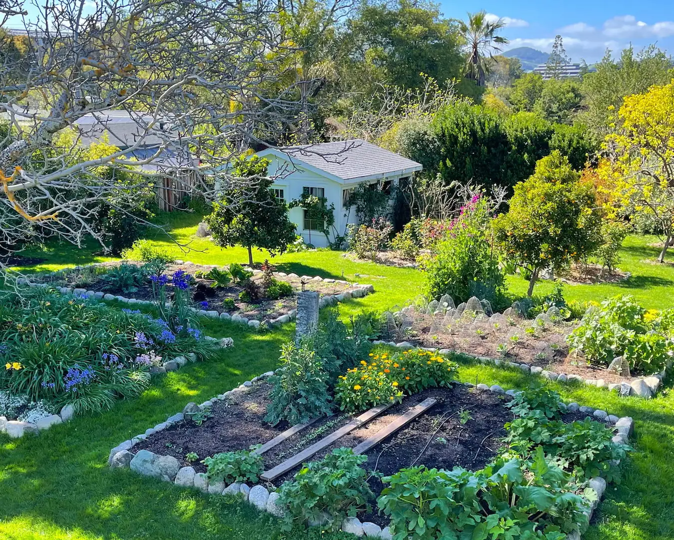 Saturday, April 25 Open Day at Buscho Garden