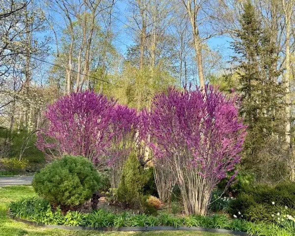 Sunday, June 28 Open Day at Michael A. Katz, Session 3: 2pm–4pm