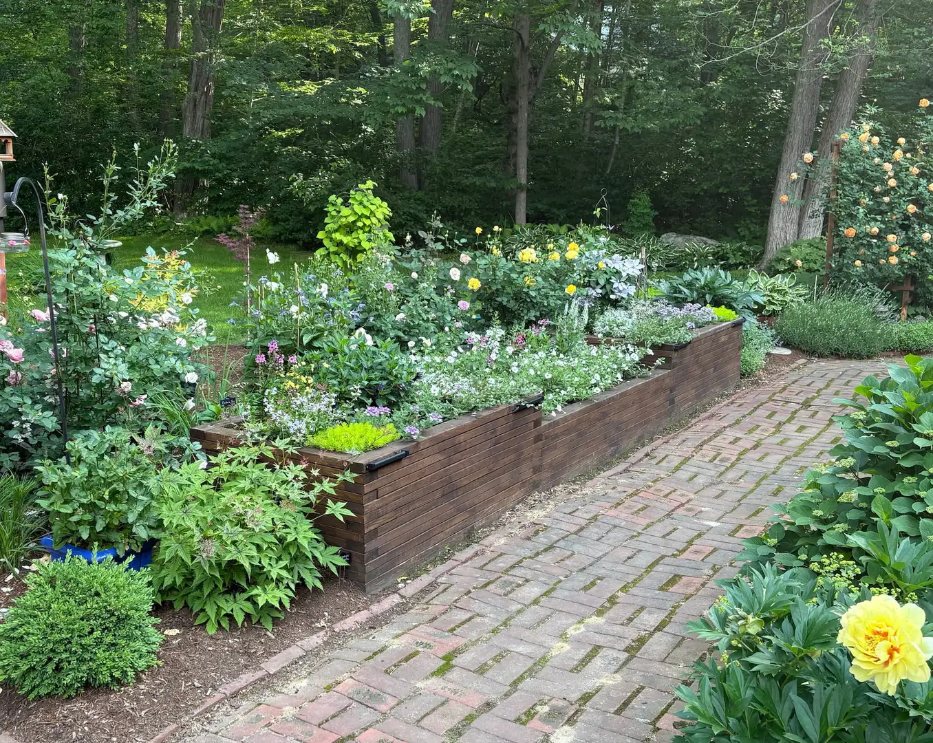 Saturday, June 13 Open Day at Rosehaven