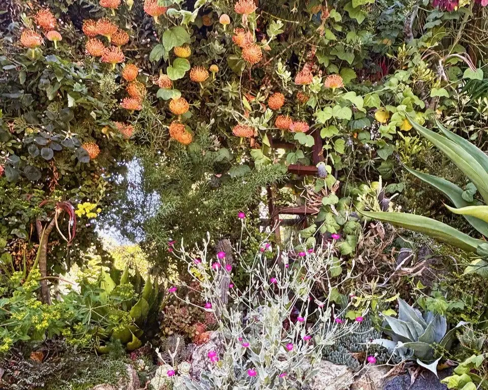 Saturday, June 13 Open Day at Dry Garden on Surrey