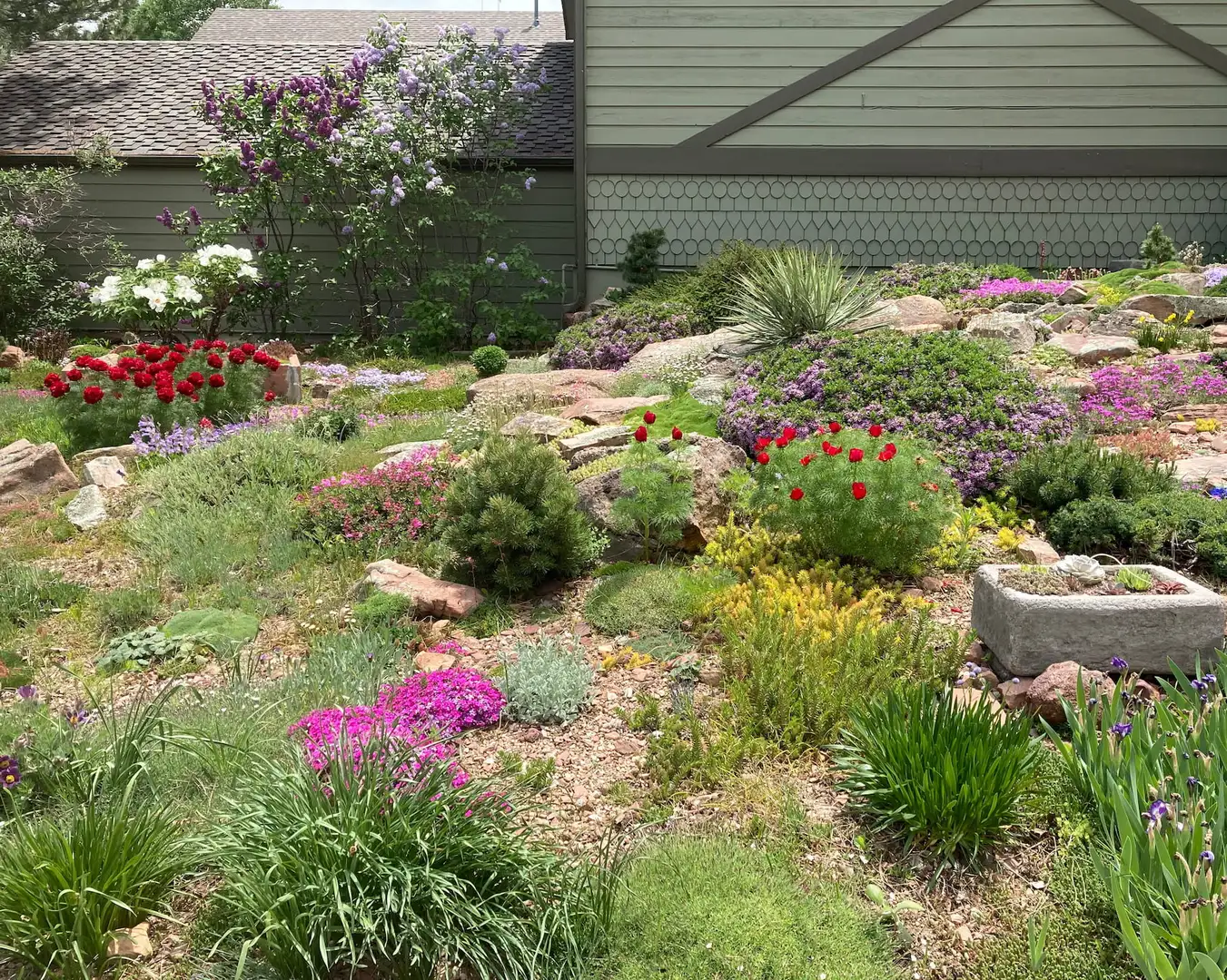 Saturday, June 20 Open Day at South Boulder Rock Garden, Session 2: 1pm-4pm