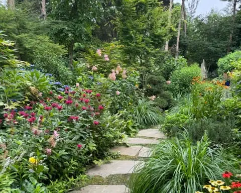 Saturday, June 27 Open Day at A Place for Us and Nature