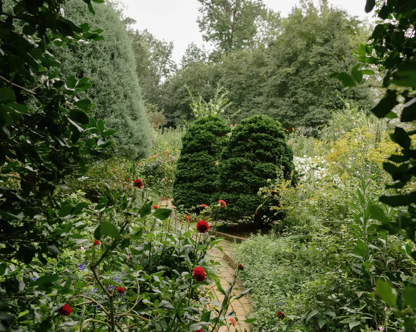 Saturday, June 27 Open Day at Killian Garden