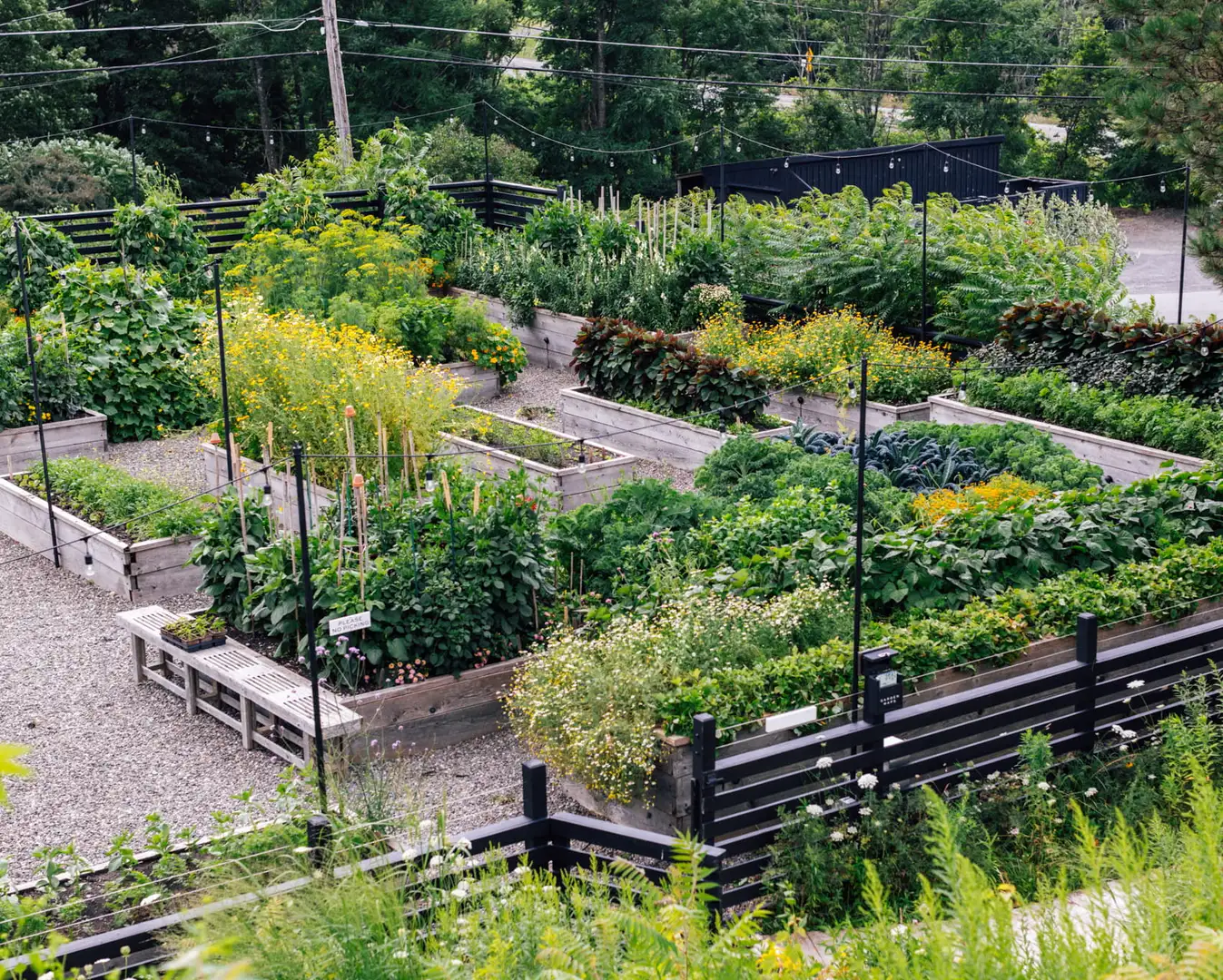 Digging Deeper: An American Potager