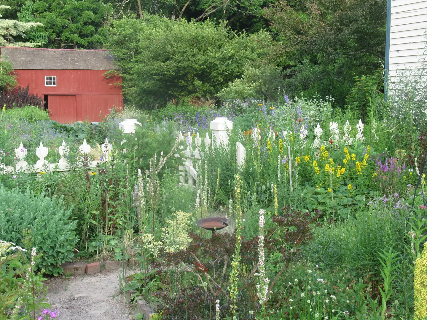 Saturday, July 11 Open Day at Winds Way Farm