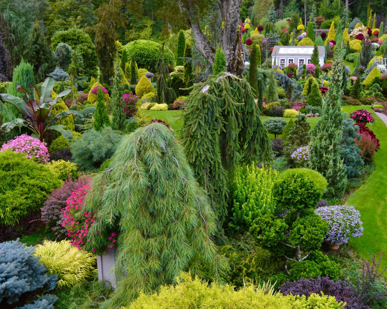 The Avon Flower House