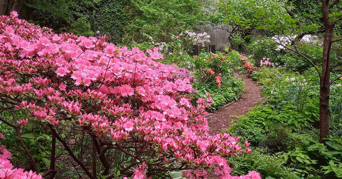 Gardenconservancy